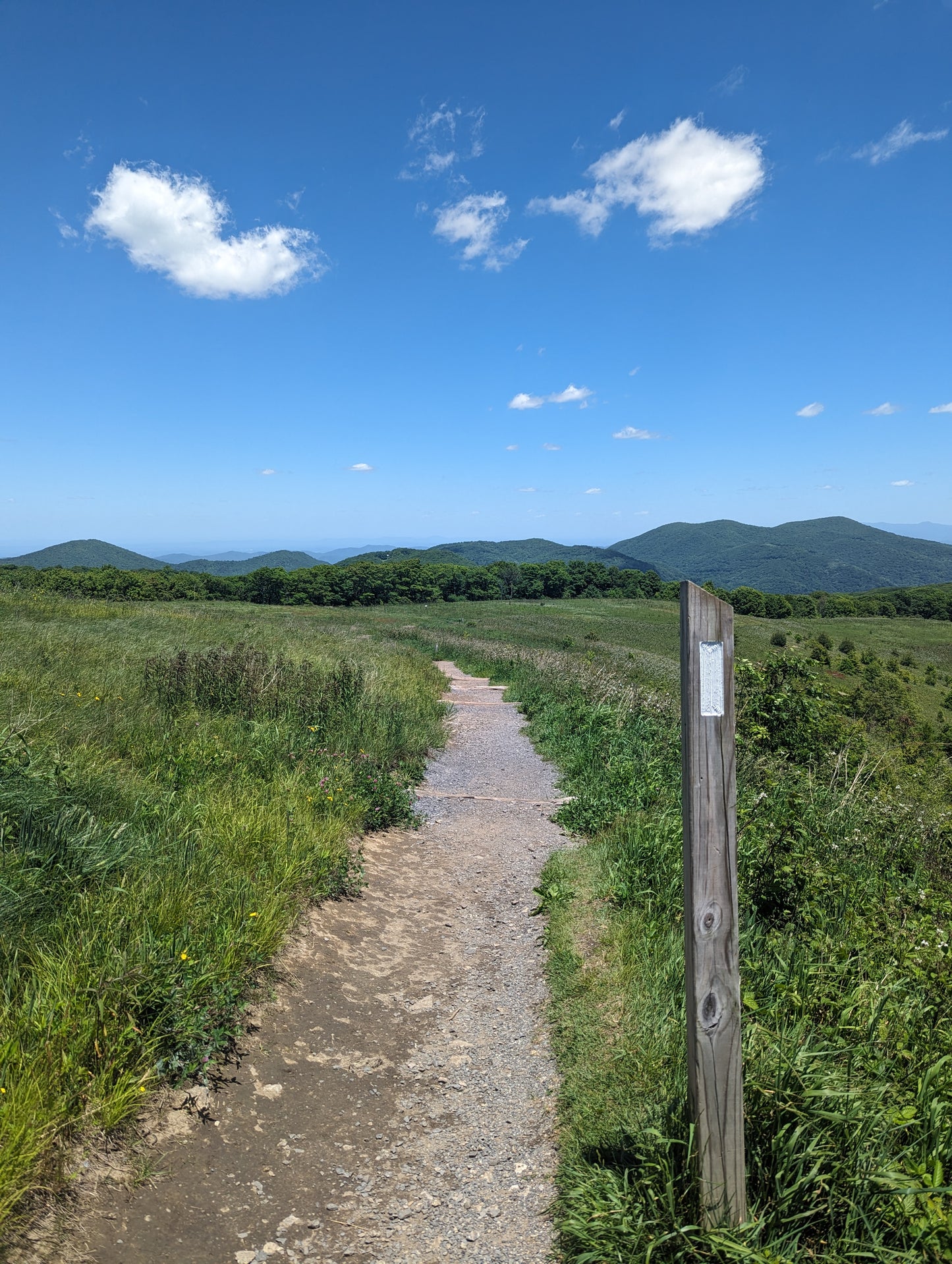 A wooden post with a white blaze painted on it stands next to a trail on a mountain top