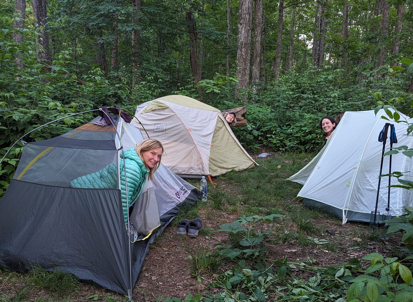 Three backpacking tents set up in the woods with women hikers leaning out of each tent