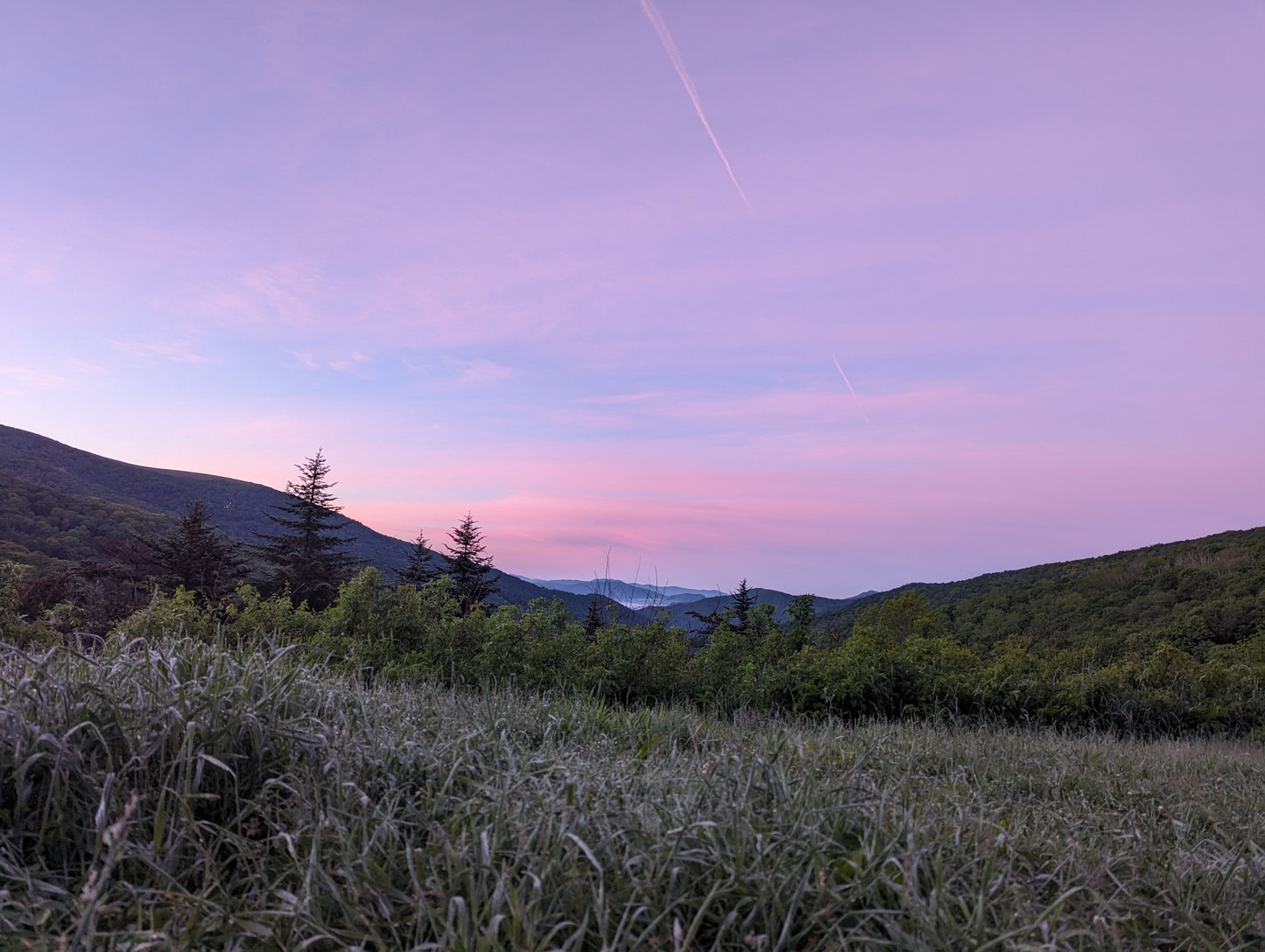 A pink sunset with mountains and pine trees in the distance