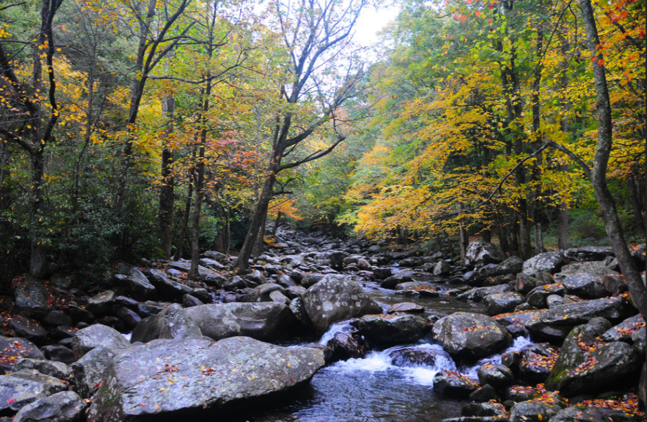 A stream flows through boulders with brightly colored trees on each side