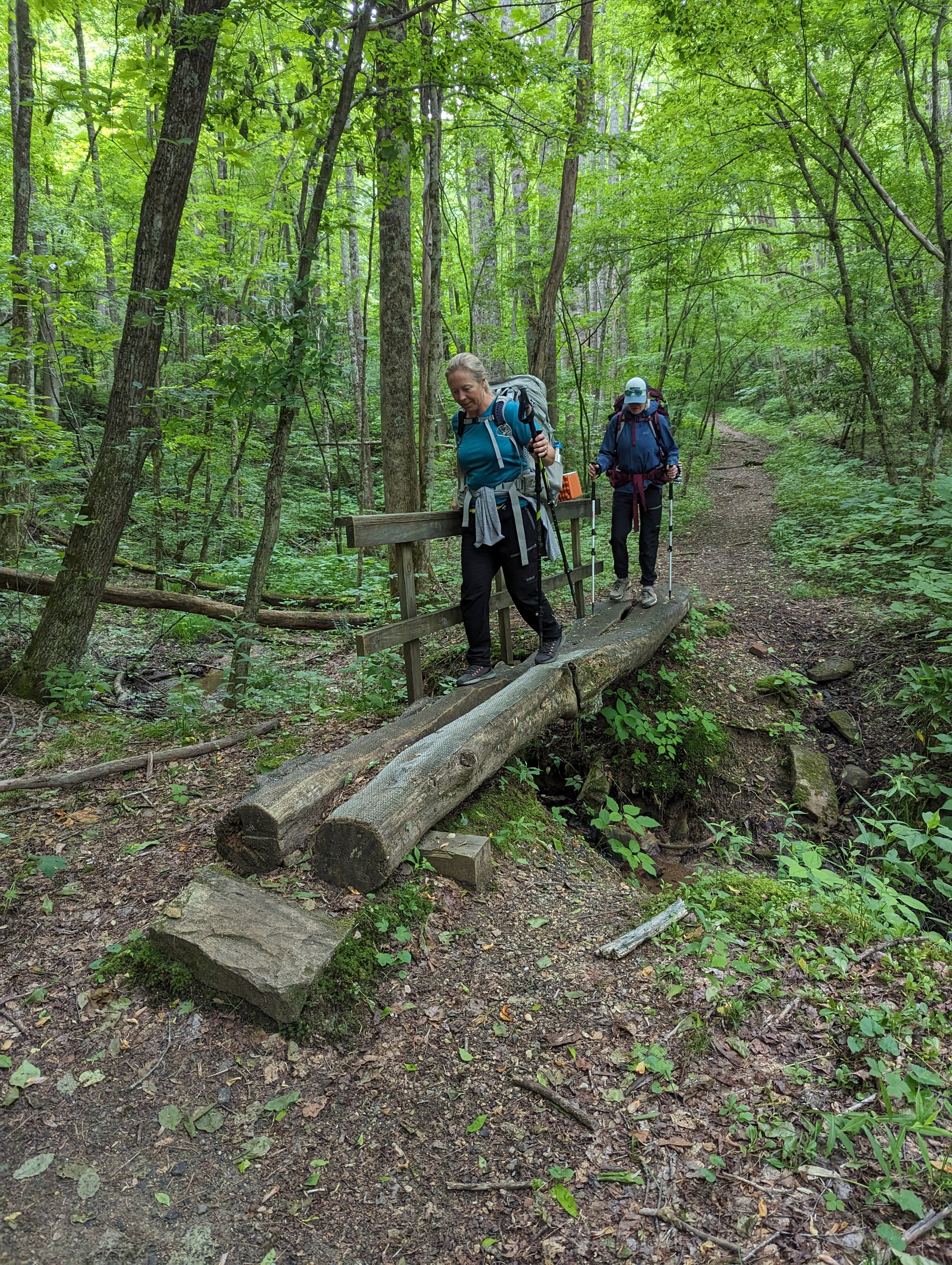 Two hikers crossing a log bridge