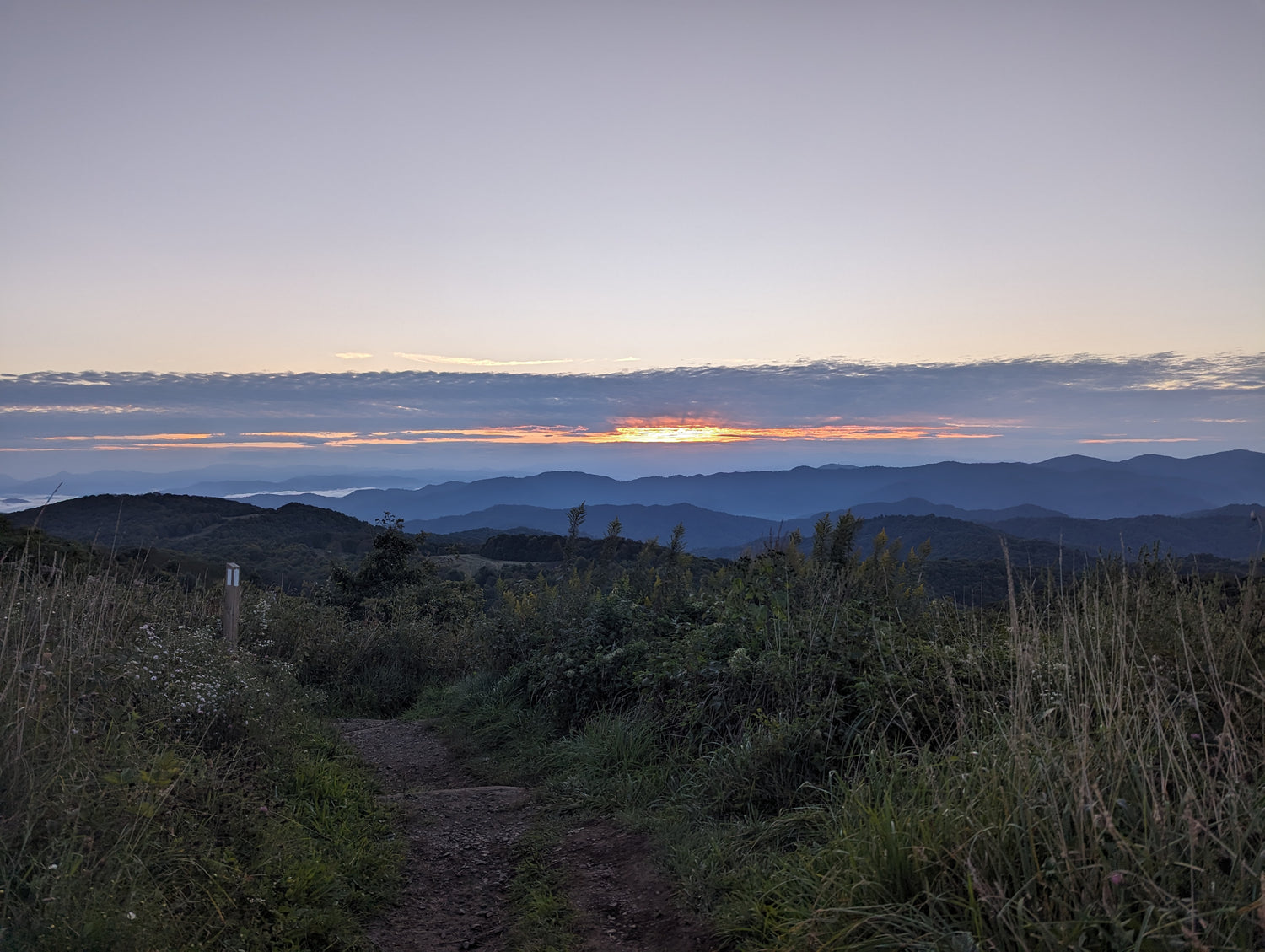 Collections Wildwood Hiking Co