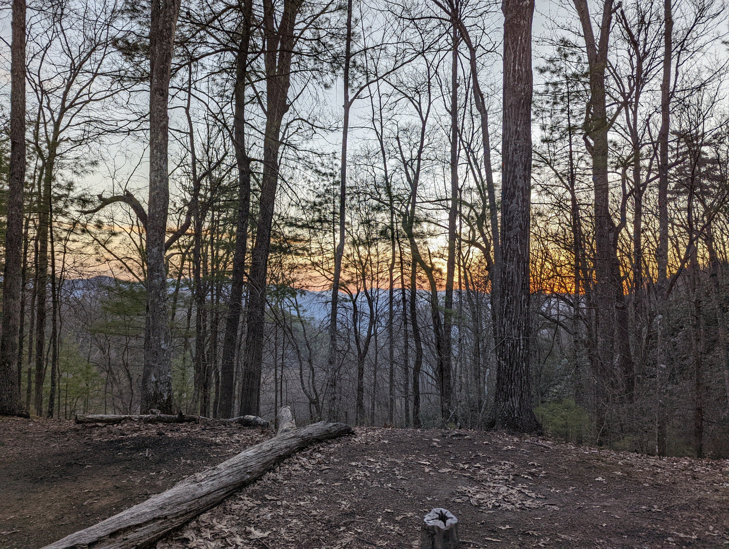 Appalachian Trail Co-Ed Beginner Backpacking Trip- Roan Highlands, TN (2025)